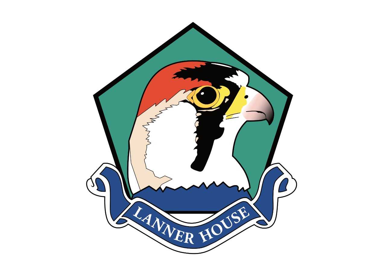 Logo 1